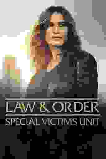 Law & Order: Special Victims Unit Background