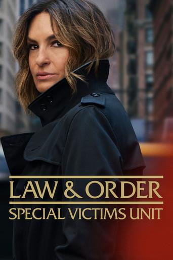 Law & Order: Special Victims Unit Poster